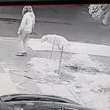 Homeowner Devises Masterfully Passive-Aggressive Way To Shame People Who Don't Pick Up Their Dogs' Poop